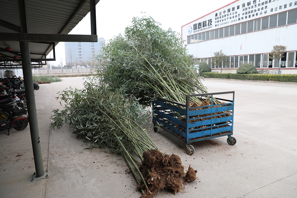 陽春三月，一年一度的植樹節到來之際，為(wèi)美化廠區(qū)，國(guó)泰科(kē)技(jì )公(gōng)司全體(tǐ)員工(gōng)舉行了“你我攜手，美化公(gōng)司”植樹節義務(wù)植樹活動。