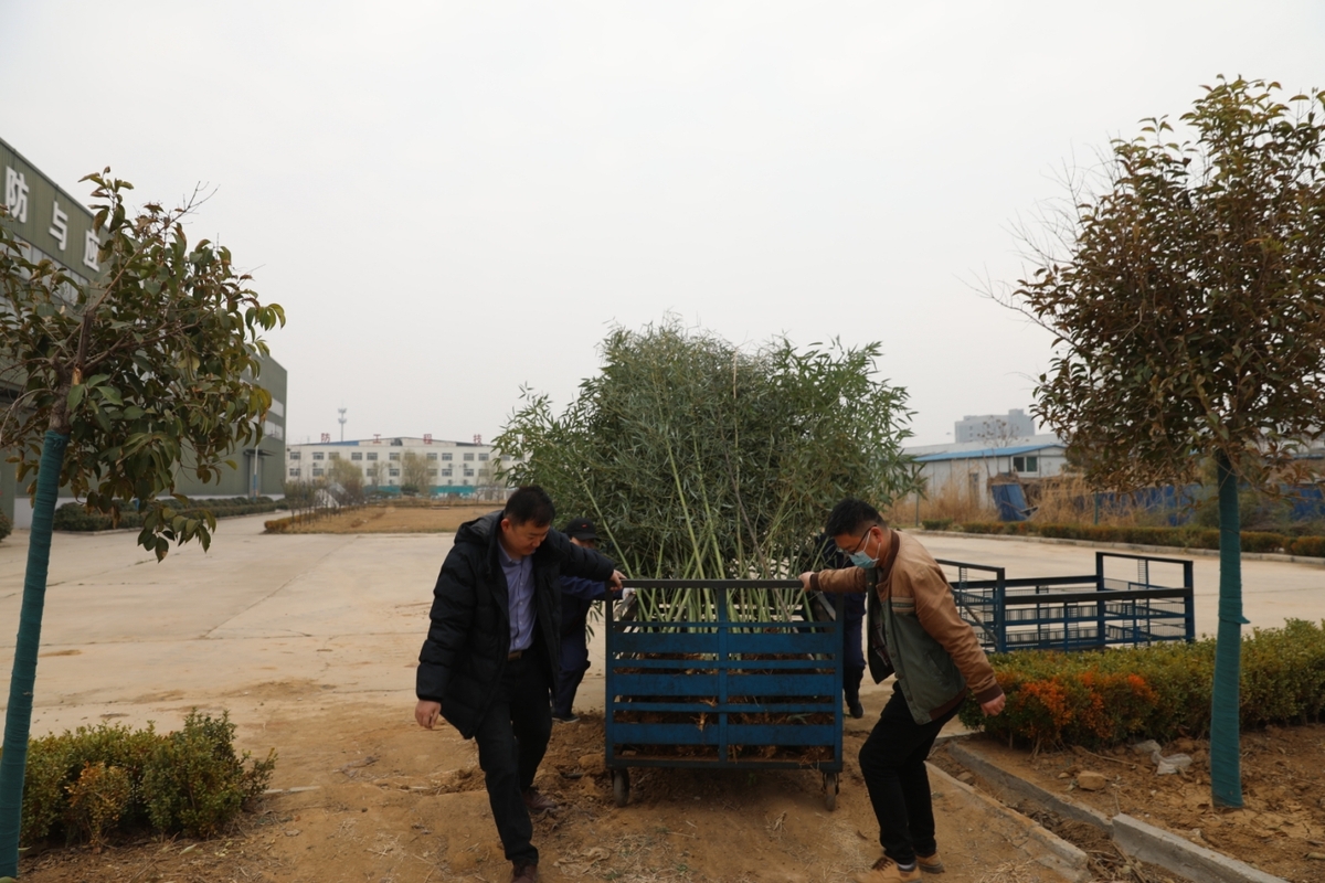 陽春三月，一年一度的植樹節到來之際，為(wèi)美化廠區(qū)，國(guó)泰科(kē)技(jì )公(gōng)司全體(tǐ)員工(gōng)舉行了“你我攜手，美化公(gōng)司”植樹節義務(wù)植樹活動。